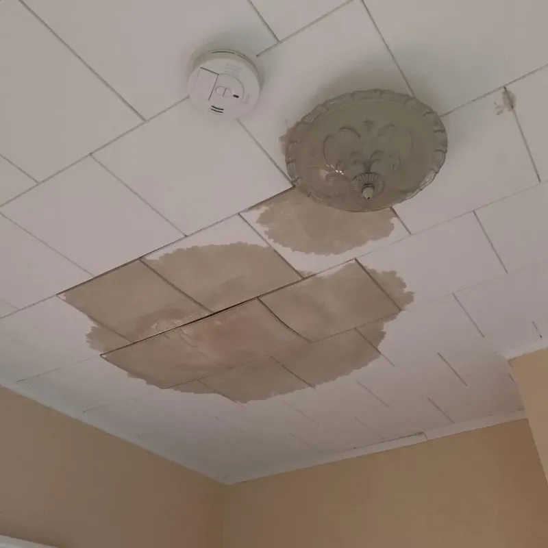 Ceiling Water Damage Repair in Chesterfield County, VA