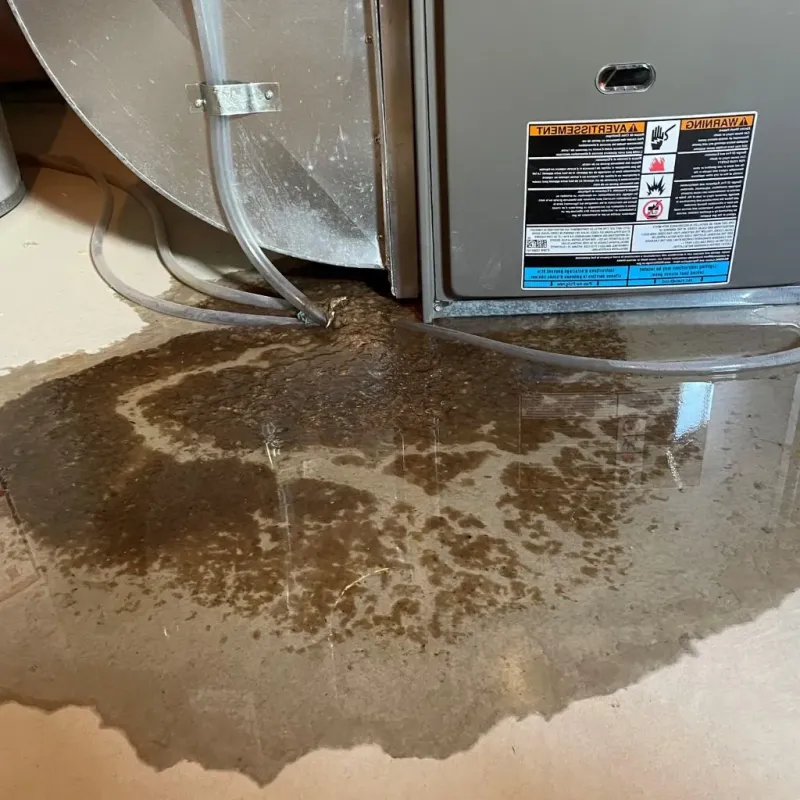 Pipe Burst and Leak Restoration in Chesterfield County, VA