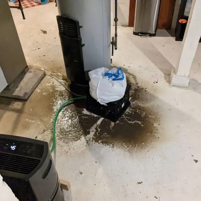Sewage Backup Cleanup Service in Chesterfield County, VA